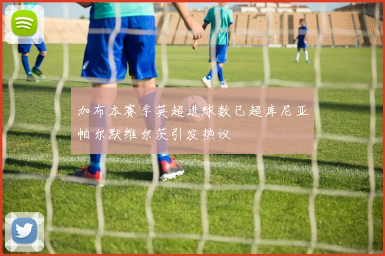 加布本赛季英超进球数已超库尼亚帕尔默维尔茨引发热议